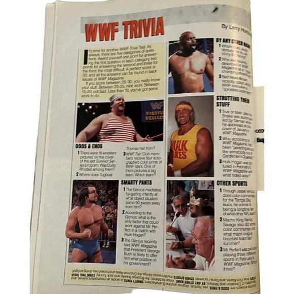 Vintage 1980s 1990s WWF Magazine Lot 10+ Von Erich Hulk Flair Poster Ads Trivia - Picture 16 of 16